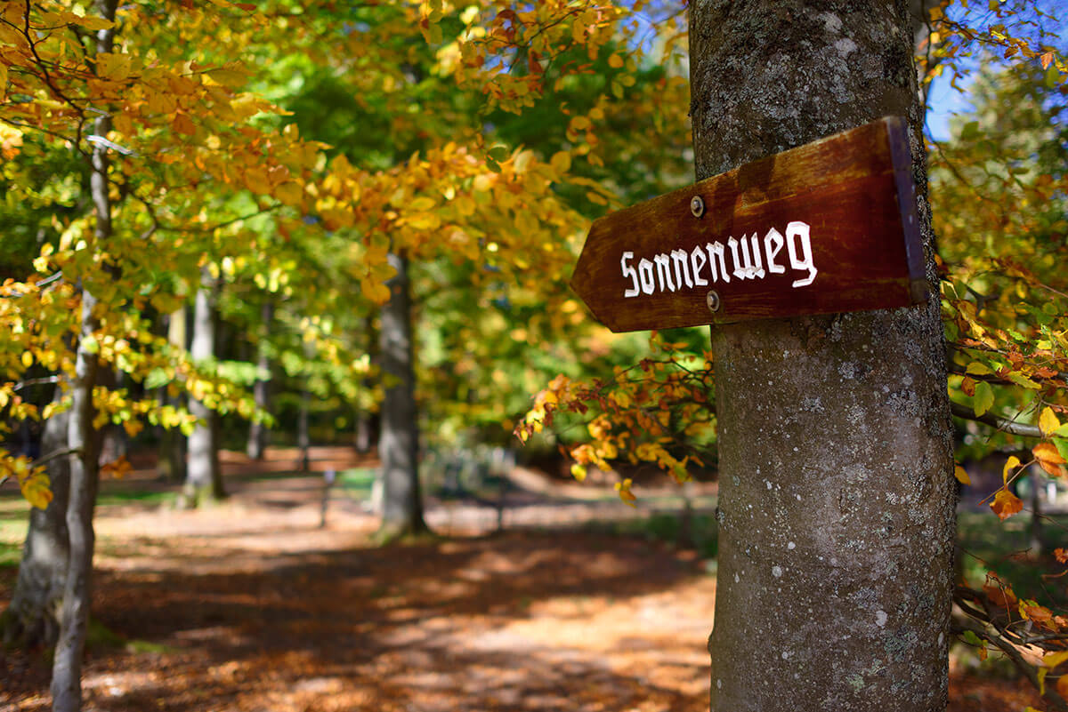 Hinweisschild „Sonnenweg“ im Wald