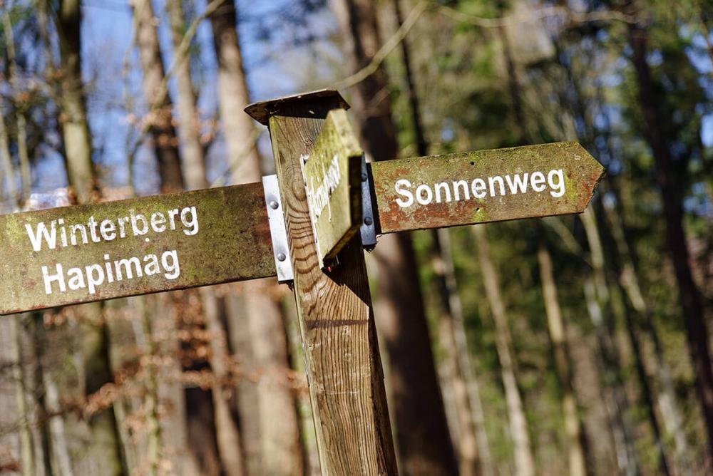 Wegweiser im Wald