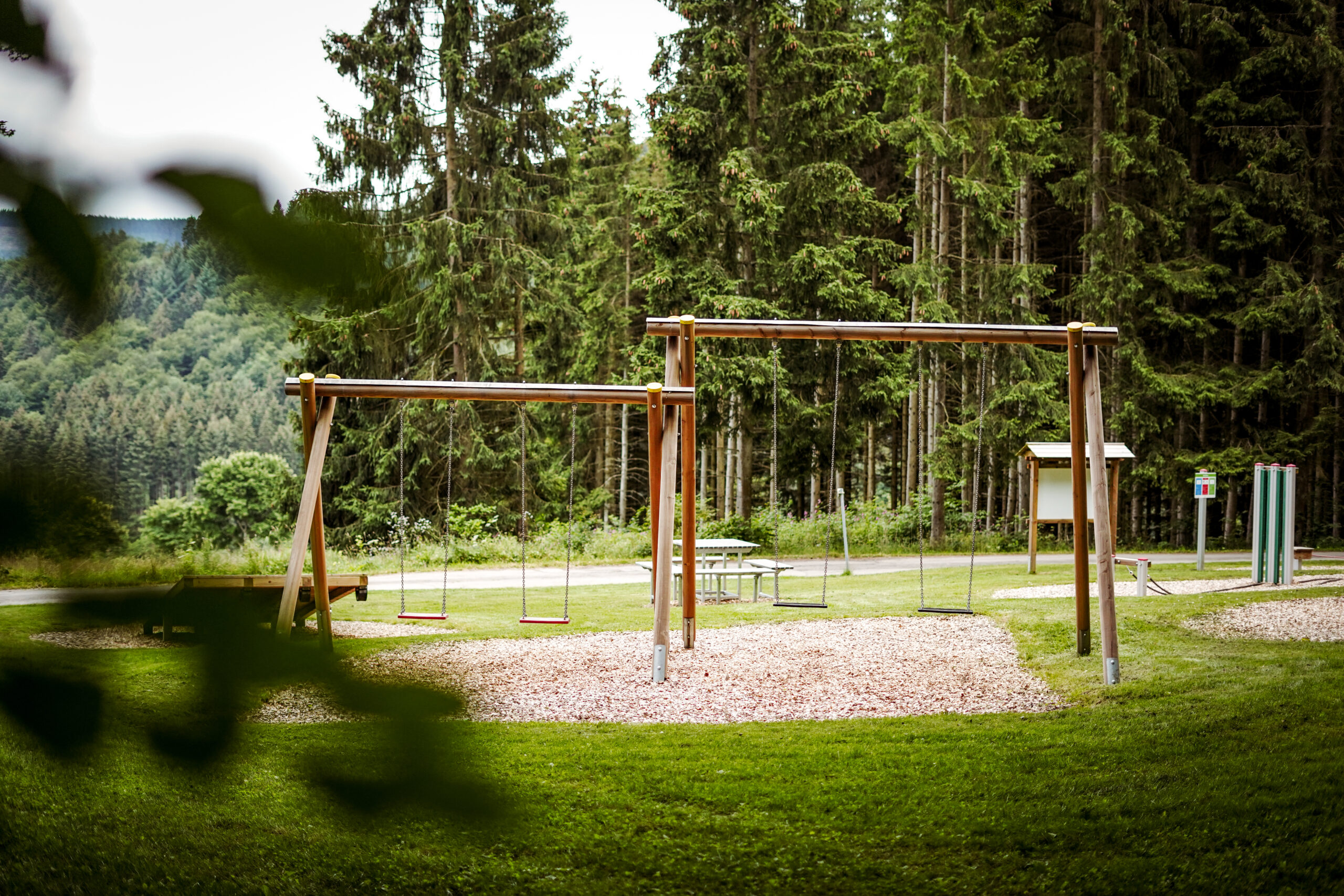 Spielplatz mit Schaukeln auf einer Wiese, umgeben von Wald und Natur.