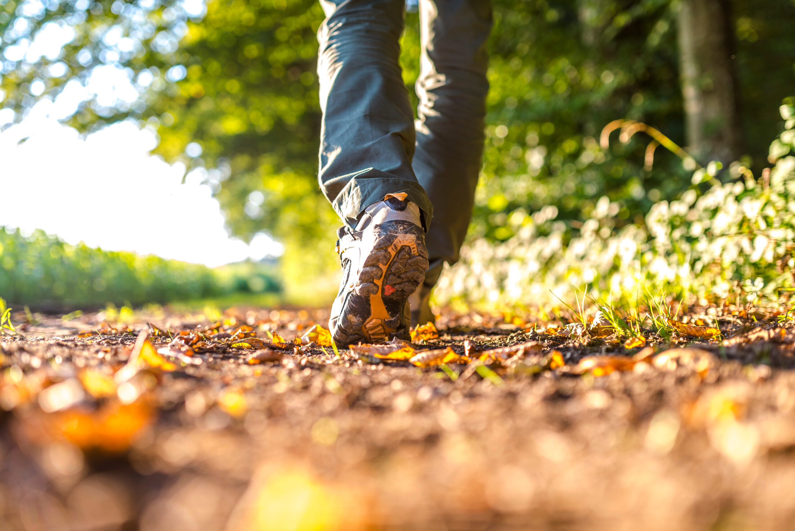 Person beim Wandern auf einem Waldweg, Nahaufnahme von Schuhen auf einem mit Blättern bedeckten Pfad.