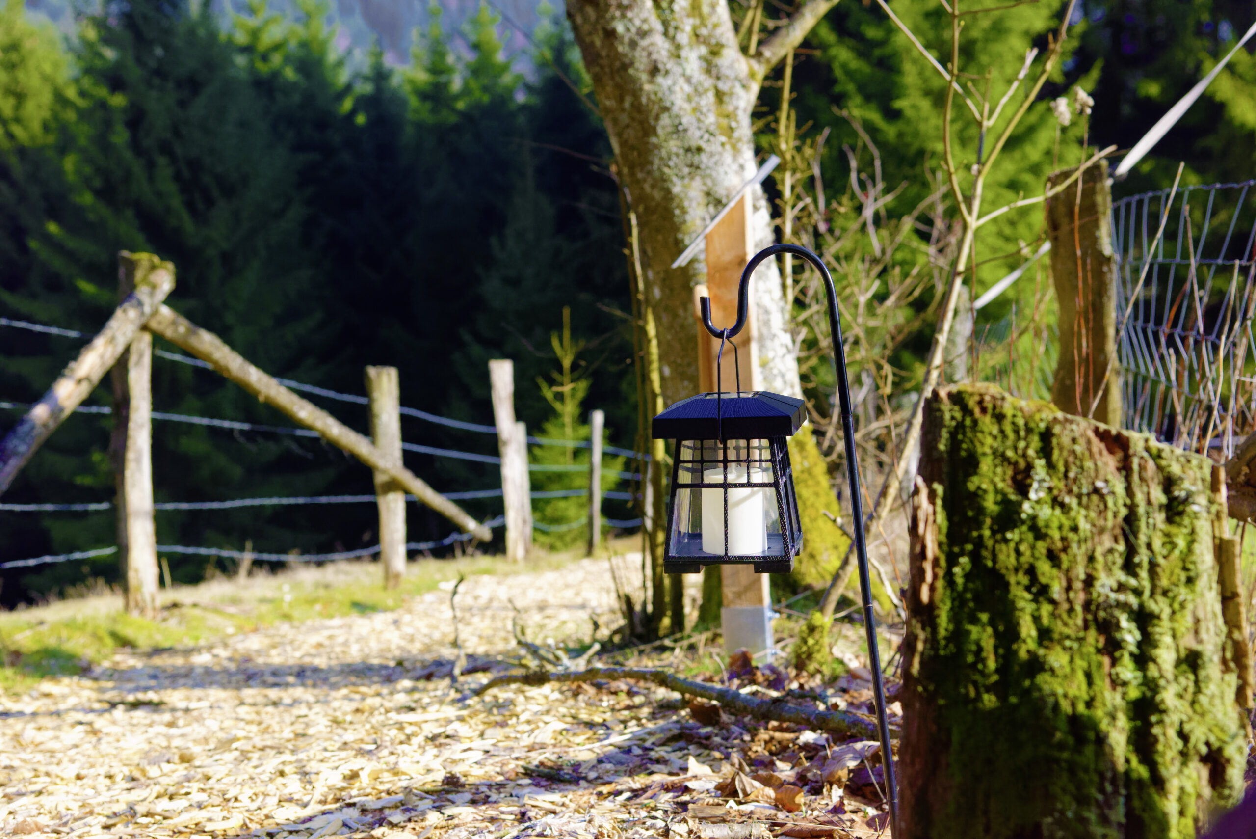 Waldweg mit kleiner Laterne am Wegrand, umgeben von Bäumen, Zaun und natürlicher Umgebung.
